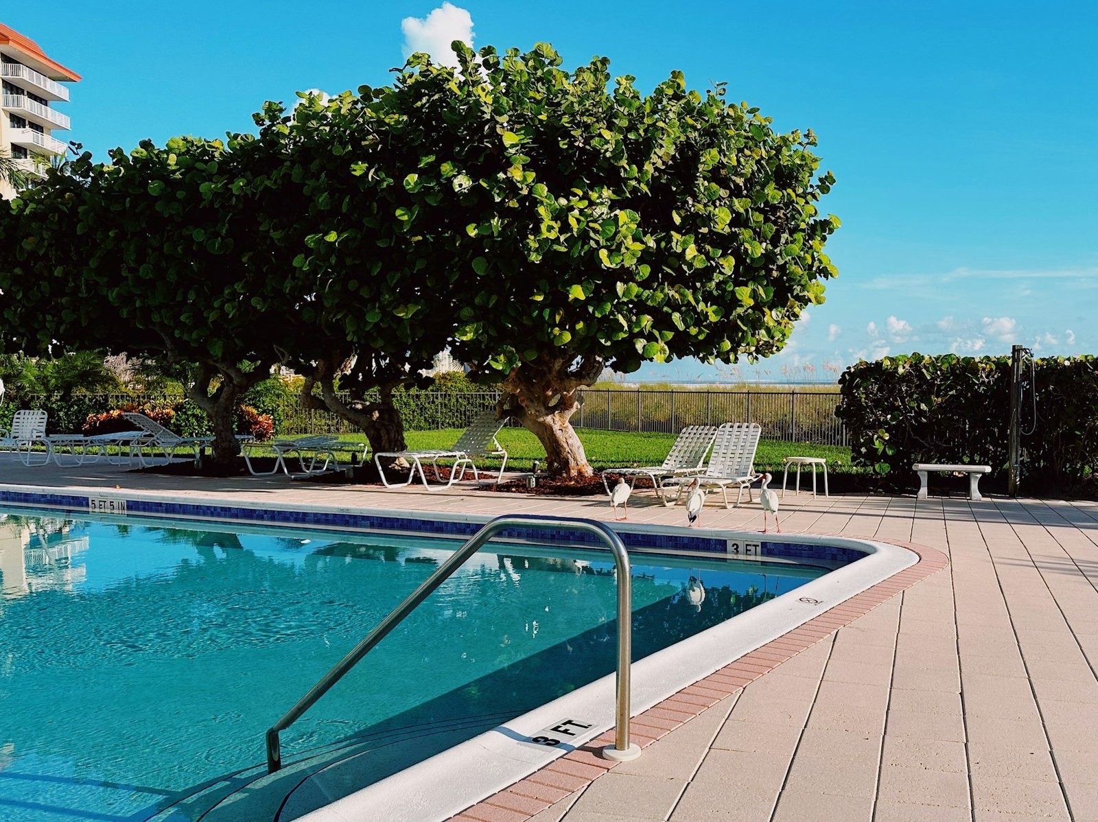 Tropical lagoon-style pool