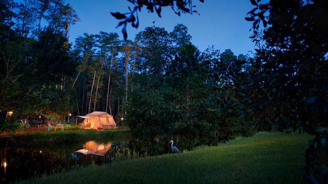 Fort Wilderness accommodation and campground views